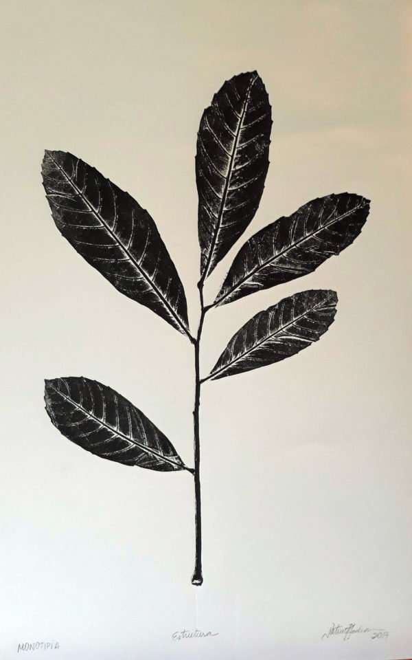 Estrutura, 2019