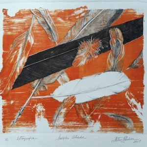 Poesia alada VA, 2018