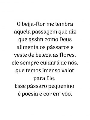 beija-flor_xilogravura_miniprint_2