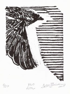 livre_xilogravura_miniprint_1