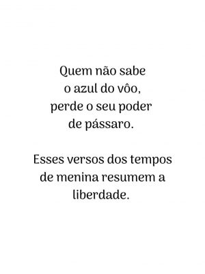 livre_xilogravura_miniprint_2