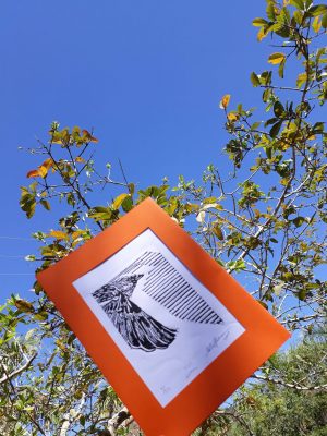 livre_xilogravura_miniprint_3